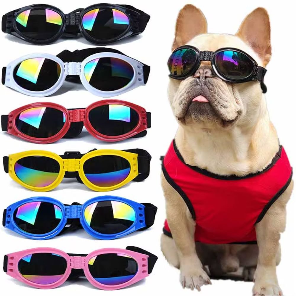 Gafas-para-perros.jpg