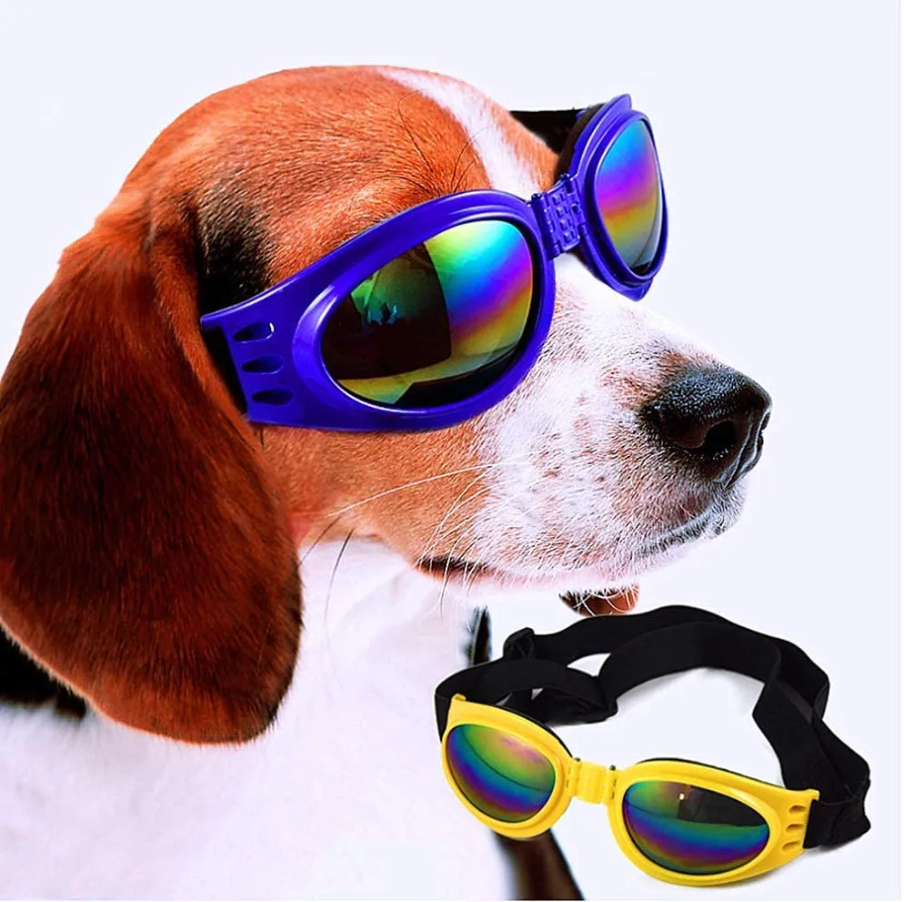 Gafas-perros-azul.webp