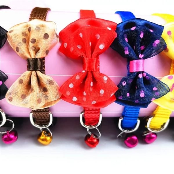 Collar Minnie