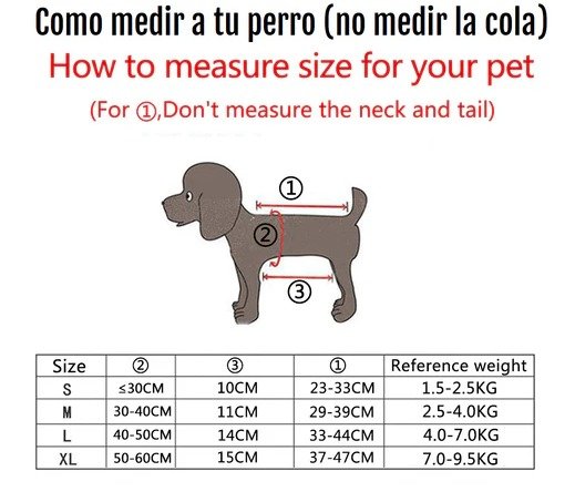 WhatsApp-Image-2024-10-10-at-11.34.24-AM.jpeg