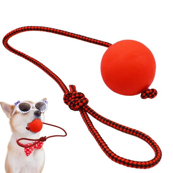 Pelota con Lazo Maciza