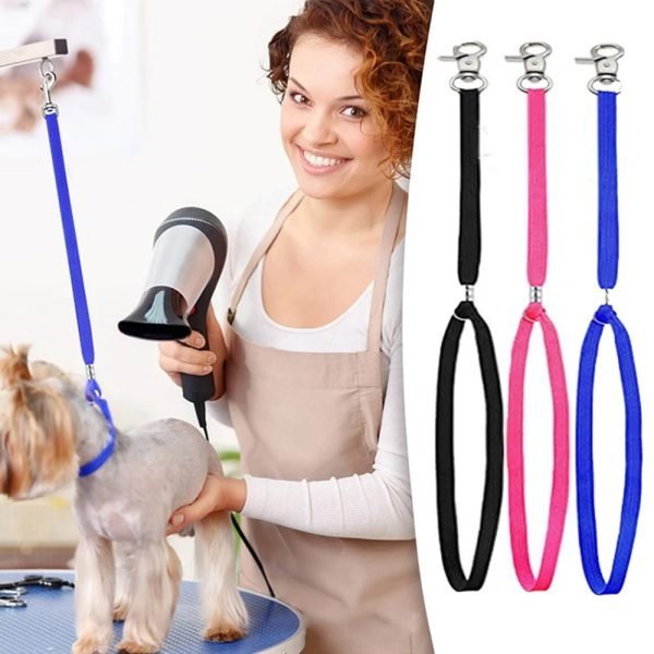 Lazo de Sujeción para Peluquería Canina y Gatos