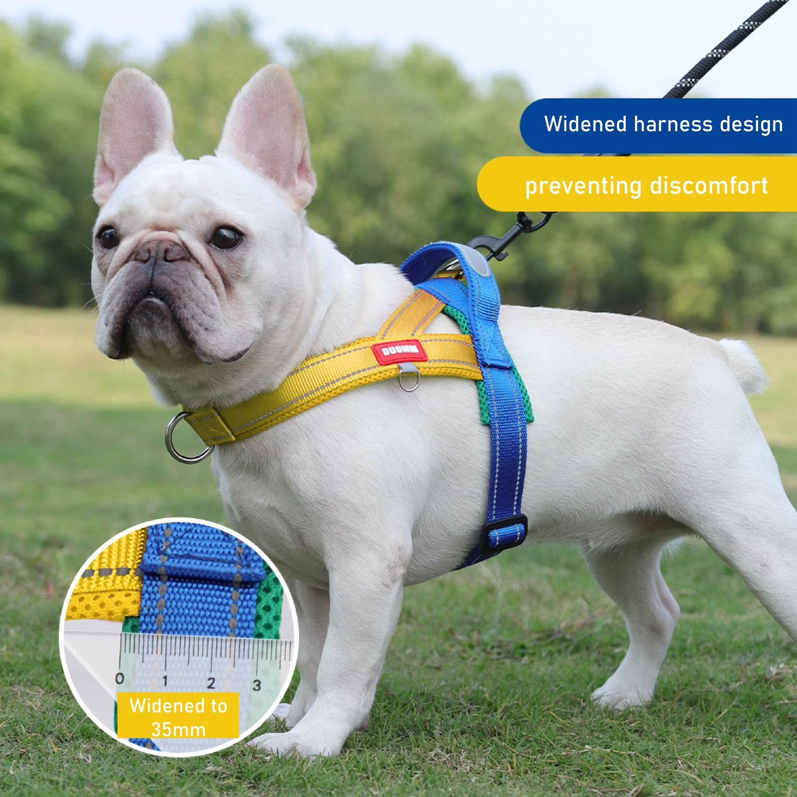 WhatsApp Image 2025-12-20 at 4.27.03 PM (2)