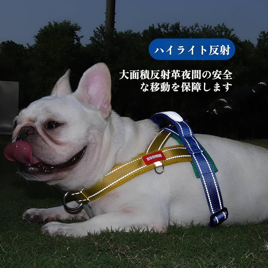 WhatsApp Image 2025-12-20 at 4.27.04 PM (1)