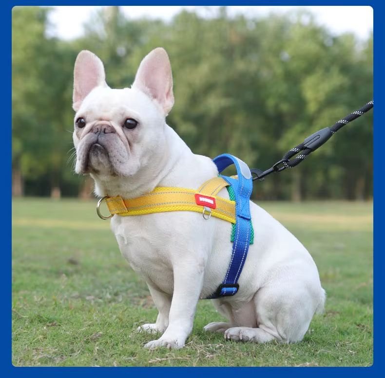 WhatsApp Image 2025-12-20 at 4.27.04 PM (2)