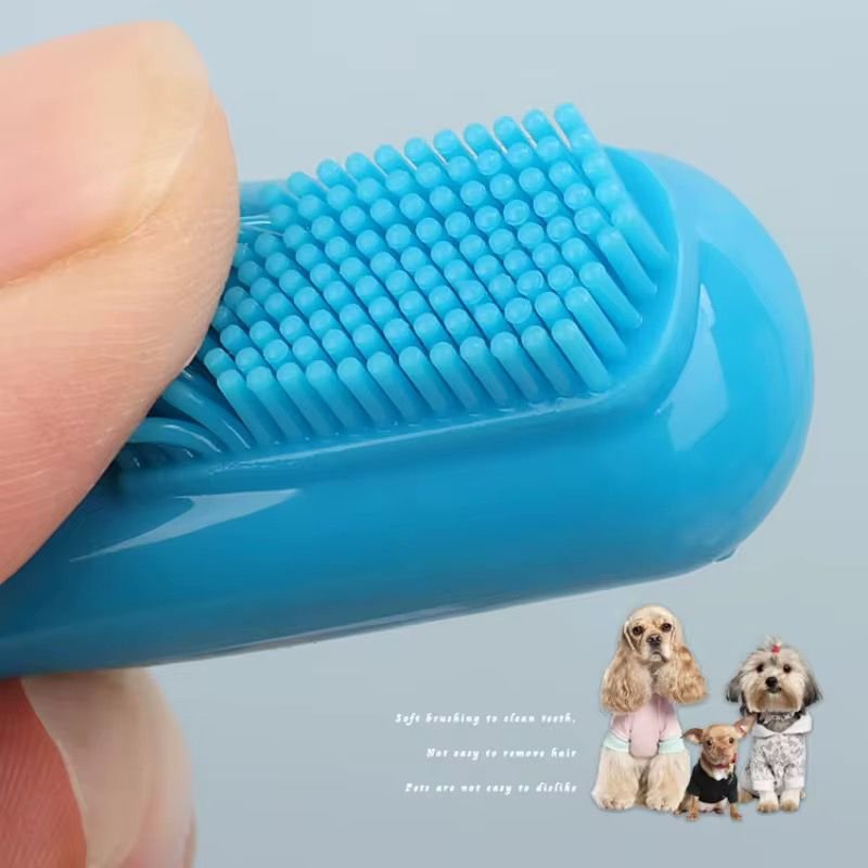 WhatsApp Image 2026-01-15 at 3.32.57 PM (1)