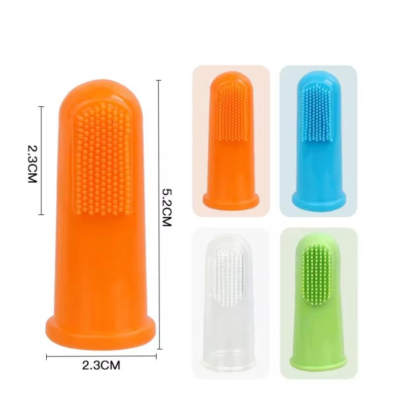 WhatsApp Image 2026-01-15 at 3.32.57 PM (2)