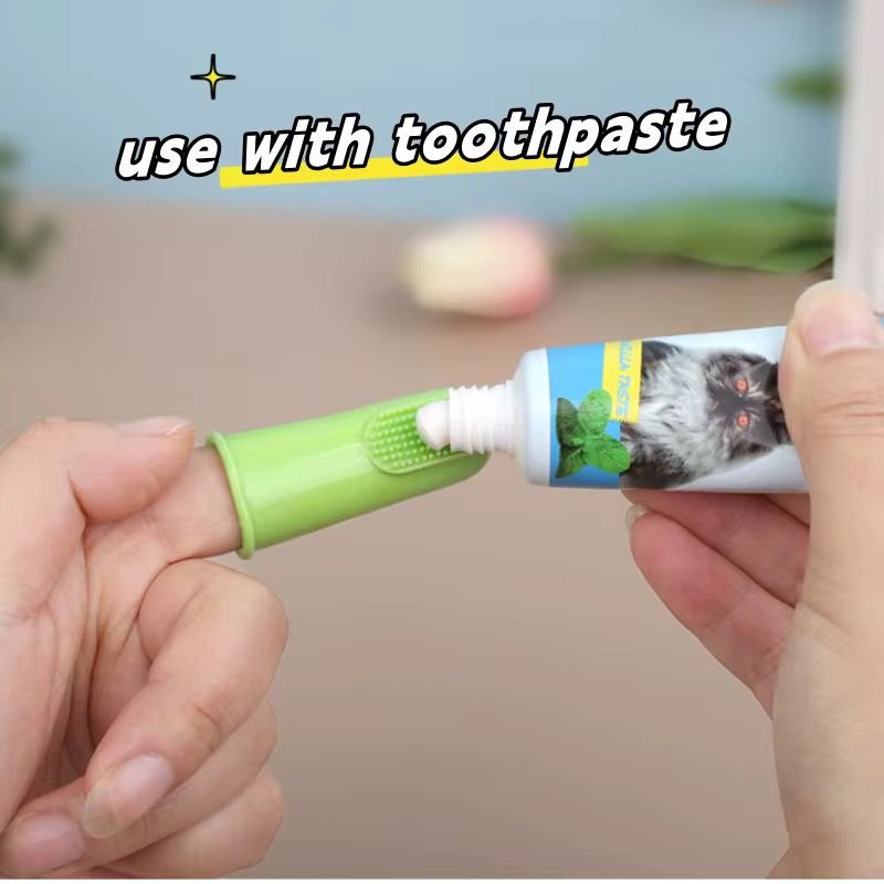 WhatsApp Image 2026-01-15 at 3.32.57 PM