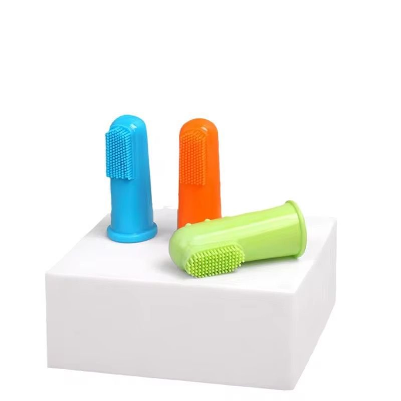 WhatsApp Image 2026-01-15 at 3.32.58 PM (1)