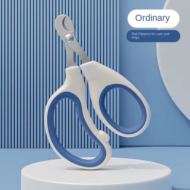 WhatsApp Image 2026-01-15 at 3.56.24 PM (1)