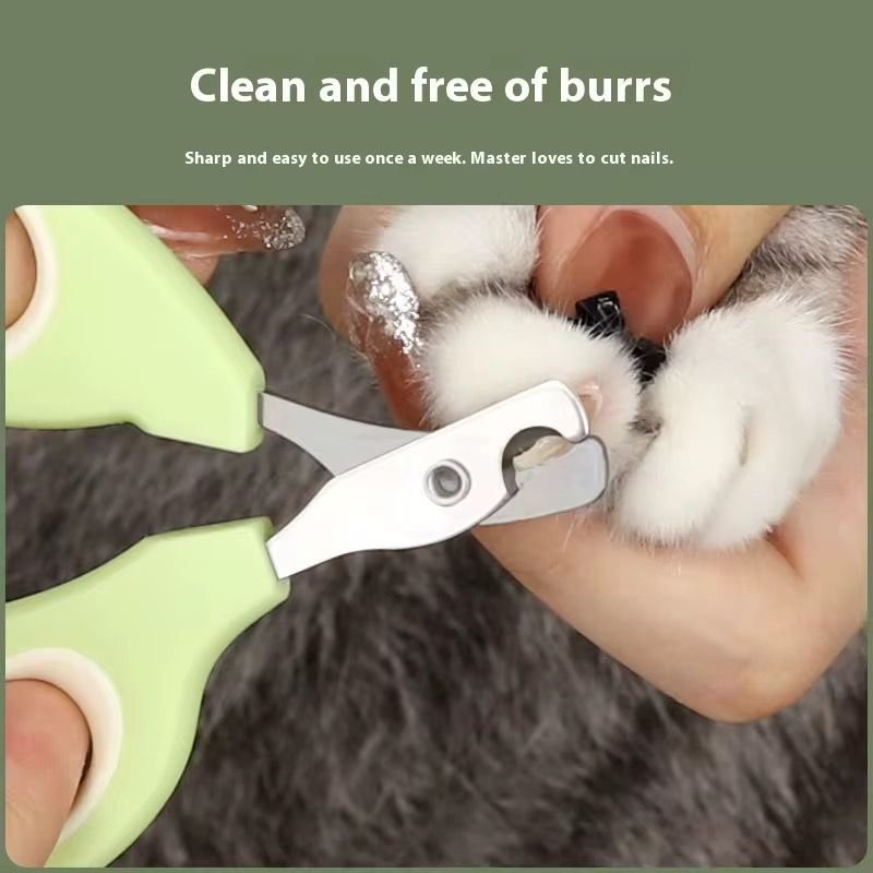 WhatsApp Image 2026-01-15 at 3.56.25 PM (1)