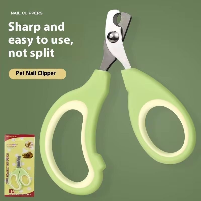 WhatsApp Image 2026-01-15 at 3.56.25 PM (3)