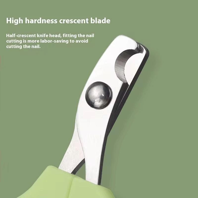 WhatsApp Image 2026-01-15 at 3.56.25 PM