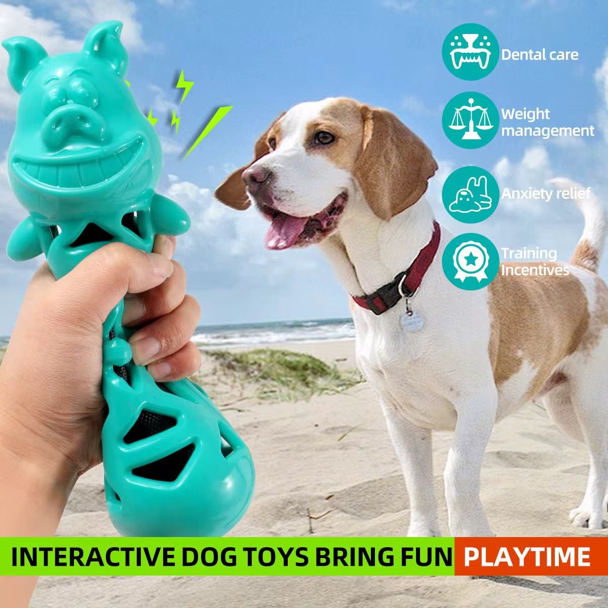 WhatsApp Image 2026-01-21 at 10.16.48 AM