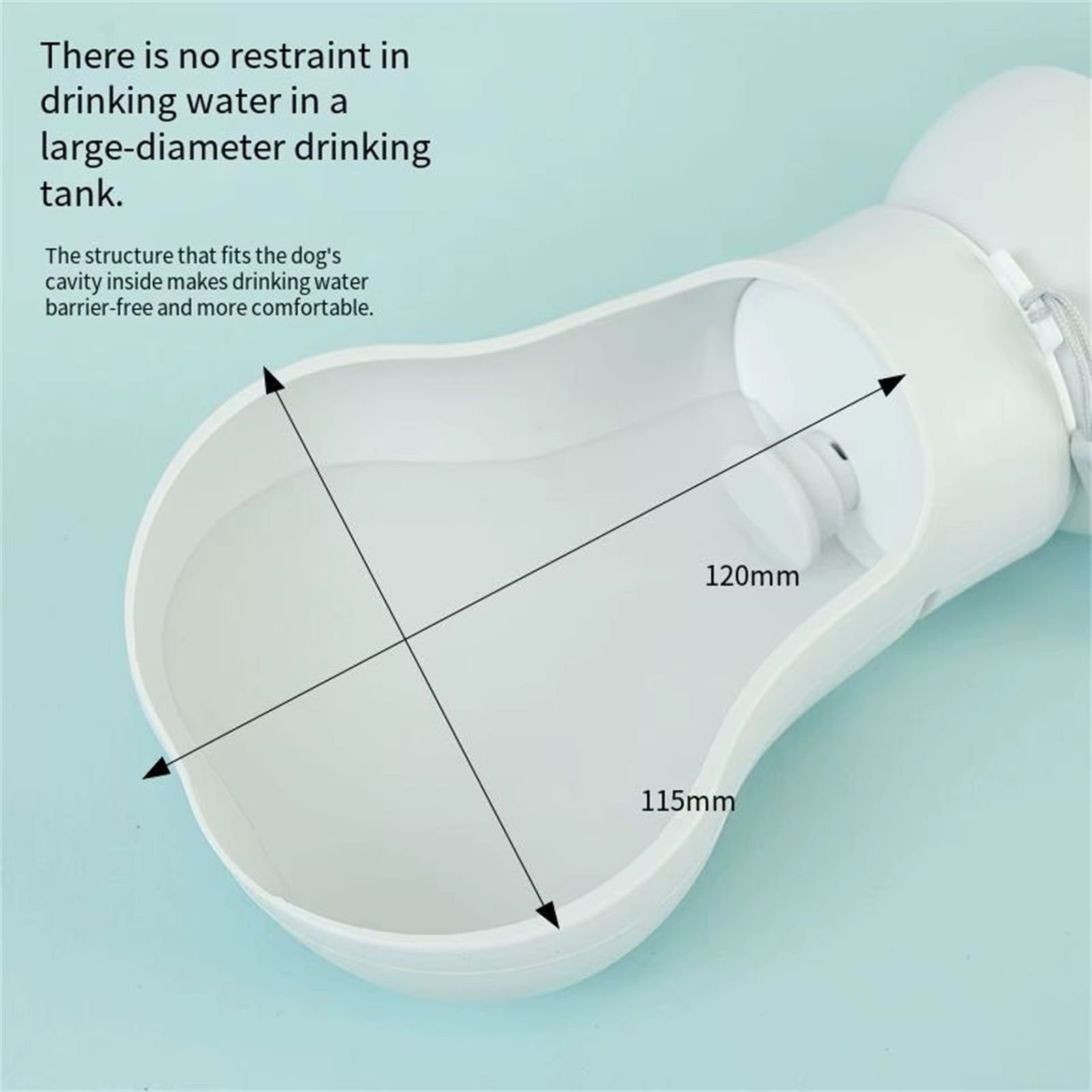 WhatsApp Image 2026-02-11 at 1.50.44 PM (1)