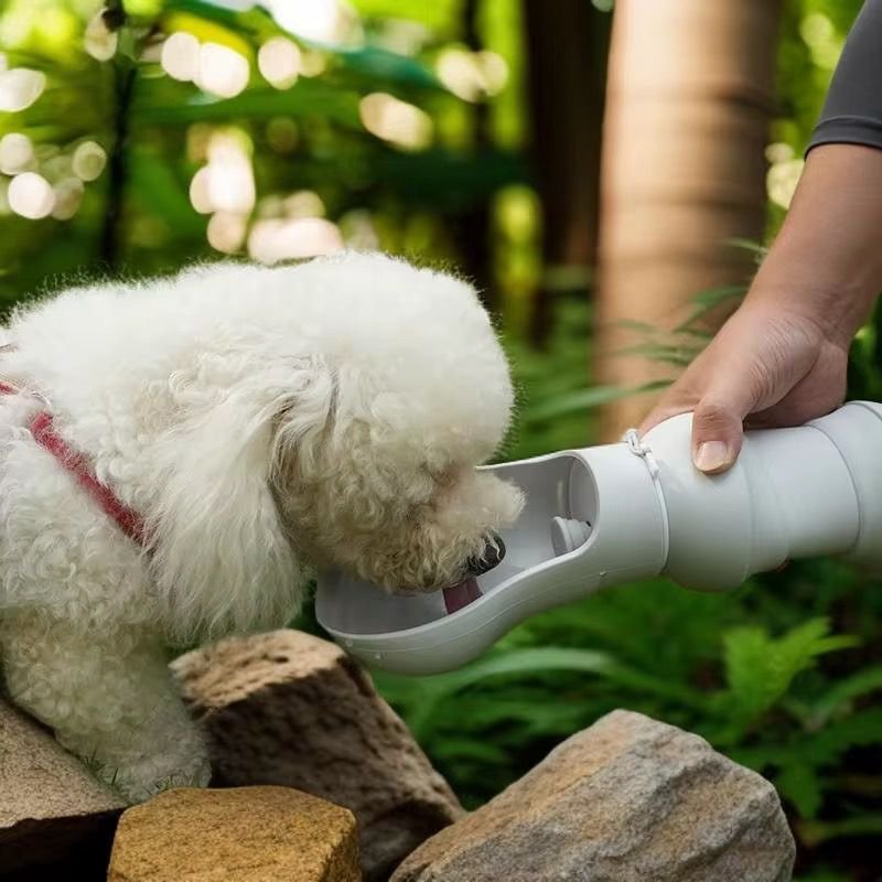 WhatsApp Image 2026-02-11 at 1.50.44 PM (2)