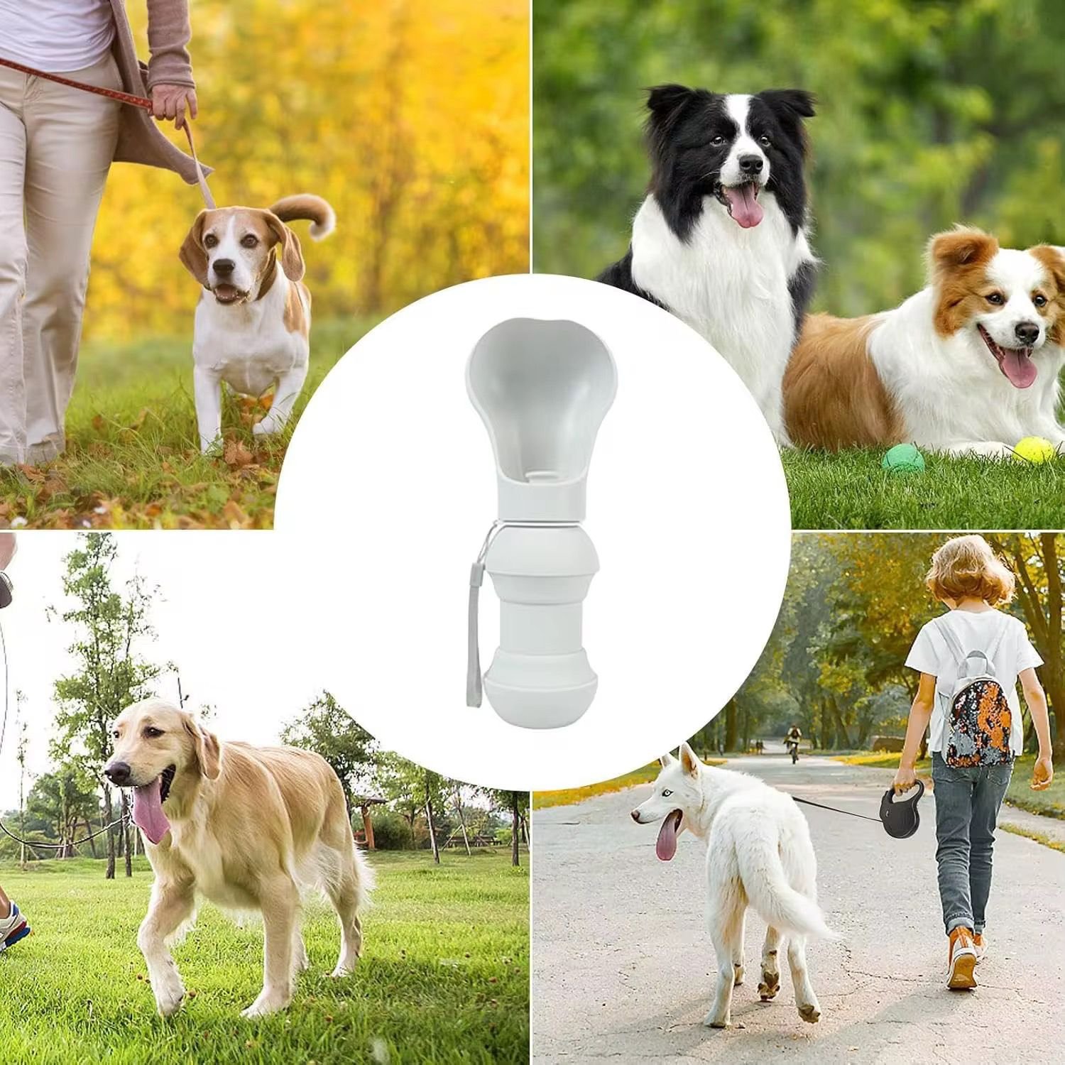 WhatsApp Image 2026-02-11 at 1.50.45 PM (3)