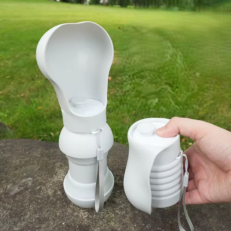 WhatsApp Image 2026-02-11 at 1.50.45 PM