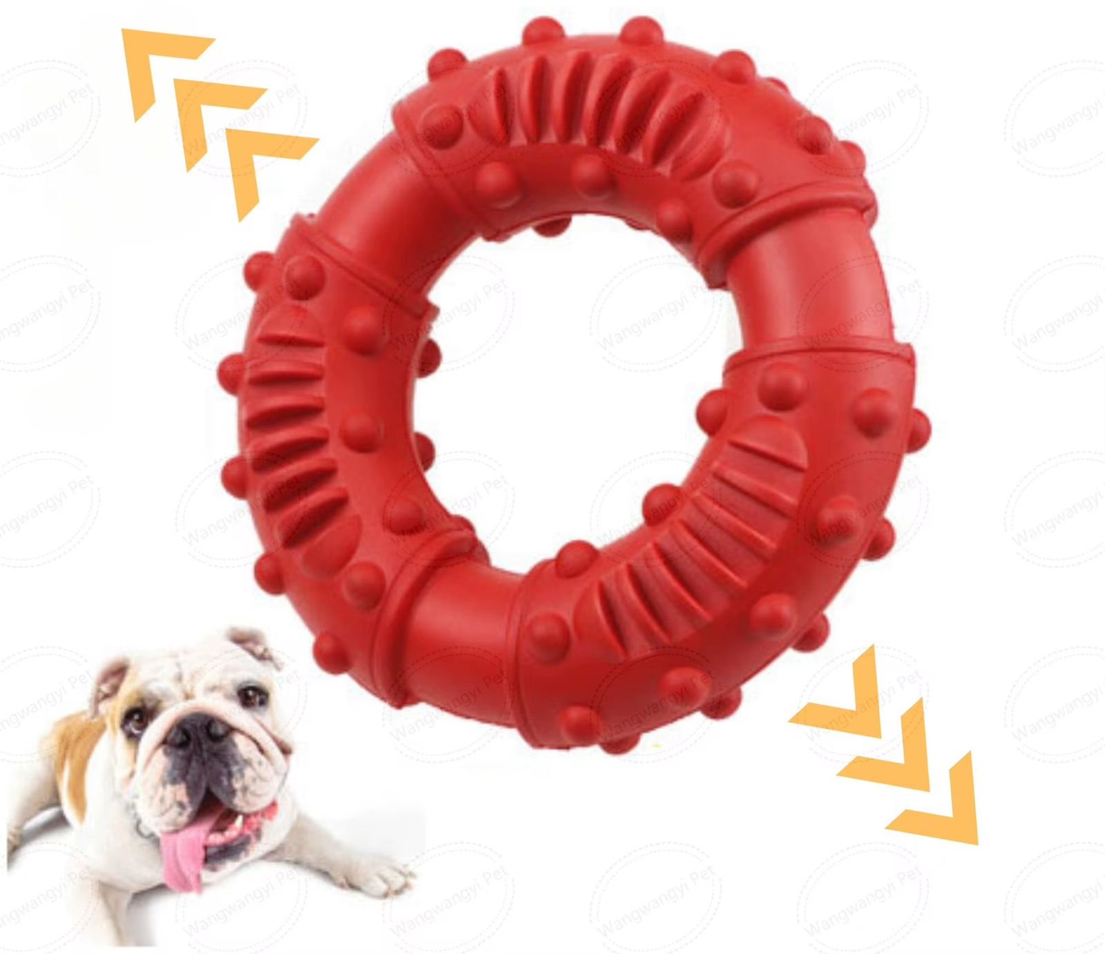 WhatsApp Image 2026-03-02 at 12.20.32 PM (1)