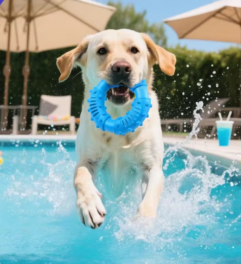 WhatsApp Image 2026-03-02 at 12.20.33 PM (1)