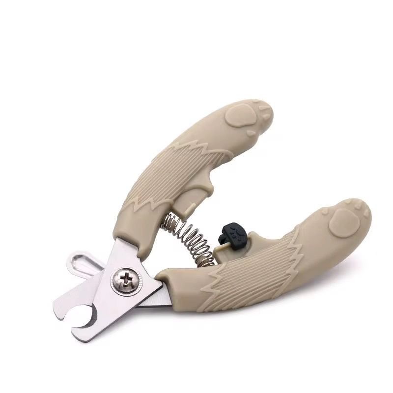 WhatsApp Image 2026-03-02 at 12.28.09 PM