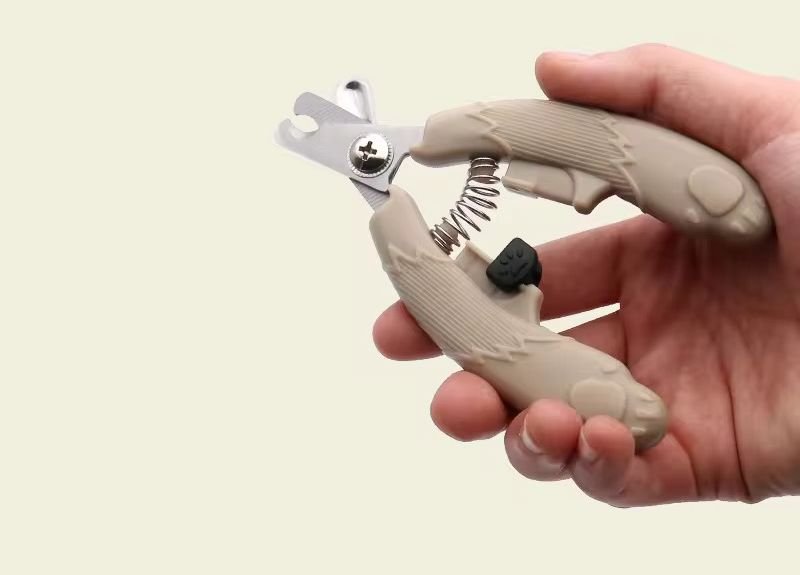 WhatsApp Image 2026-03-02 at 12.28.10 PM (1)