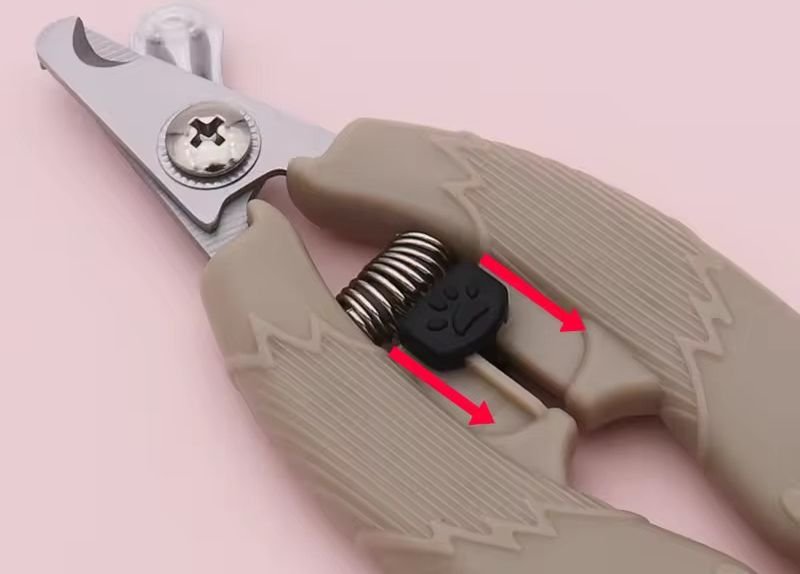 WhatsApp Image 2026-03-02 at 12.28.10 PM