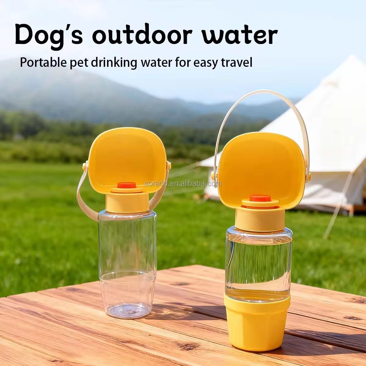 WhatsApp Image 2026-03-02 at 5.14.21 PM (1)