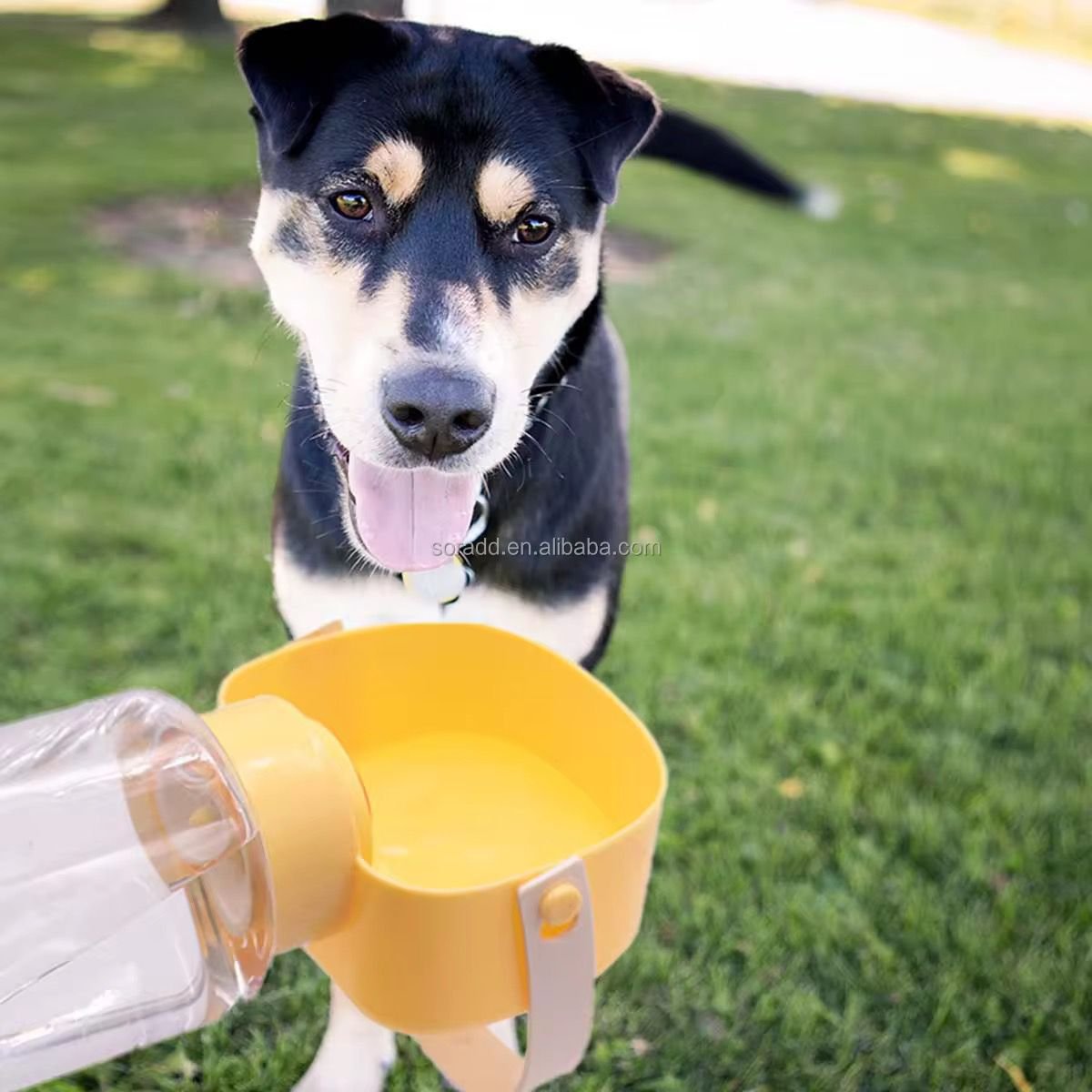 WhatsApp Image 2026-03-02 at 5.14.21 PM