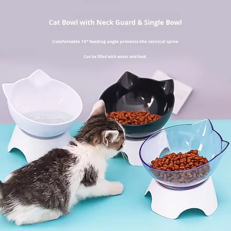 WhatsApp Image 2026-03-02 at 5.17.22 PM (2)