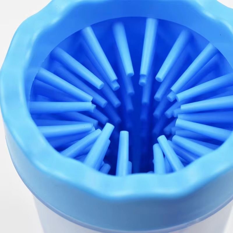 WhatsApp Image 2026-03-02 at 5.28.48 PM