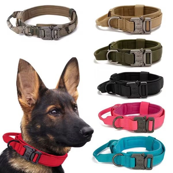Collar Lucky de Alta Seguridad para Perros