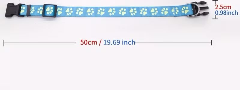 WhatsApp Image 2026-03-03 at 2.30.32 PM