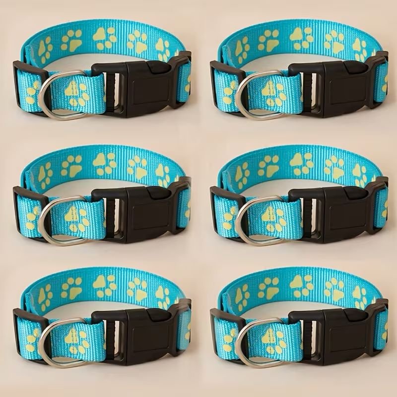 WhatsApp Image 2026-03-03 at 2.30.42 PM (1)