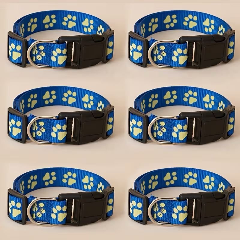 WhatsApp Image 2026-03-03 at 2.30.42 PM