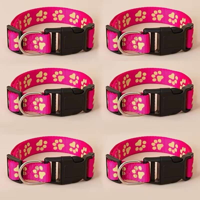 WhatsApp Image 2026-03-03 at 2.30.43 PM (1)