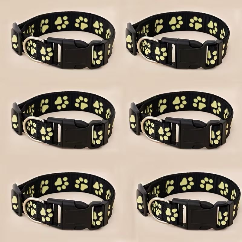 WhatsApp Image 2026-03-03 at 2.30.43 PM (2)