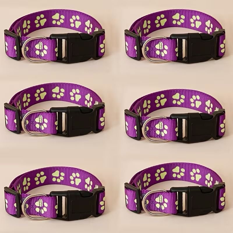 WhatsApp Image 2026-03-03 at 2.30.43 PM