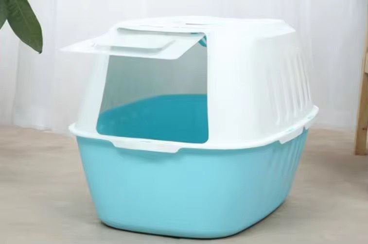 WhatsApp Image 2026-03-30 at 5.23.14 PM (1)