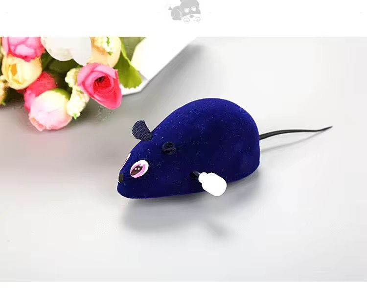 boutique animal pet shop cali