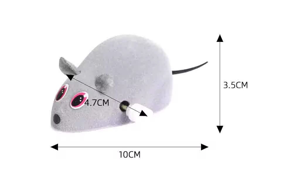 boutique animal raton gatos