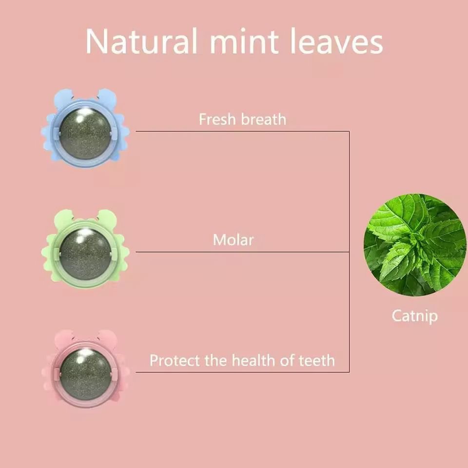 catnip – boutique animal