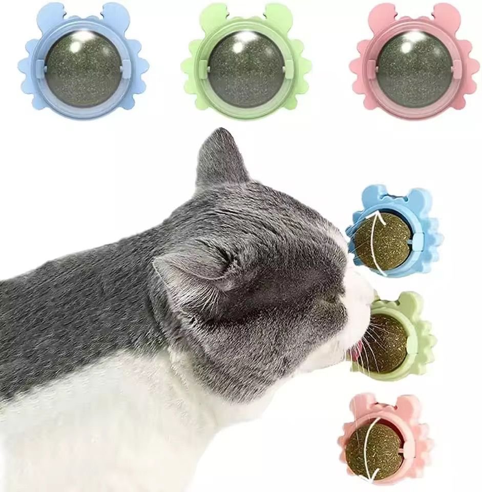 catnip para gatos