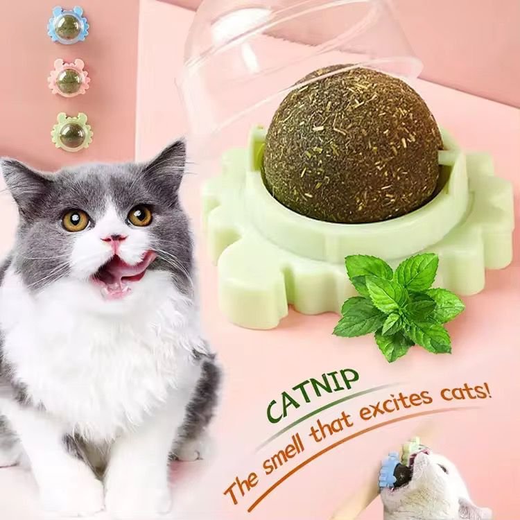 juguete catnip para gatos