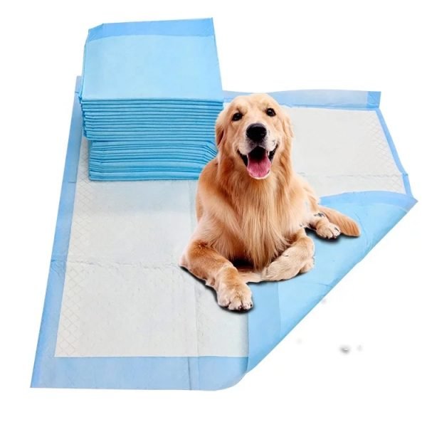 Tapete Entrenador de Orina