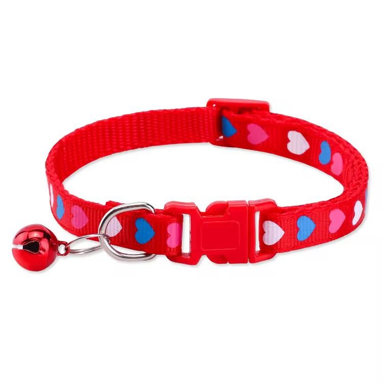 WhatsApp Image 2026-03-03 at 2.37.27 PM (2)