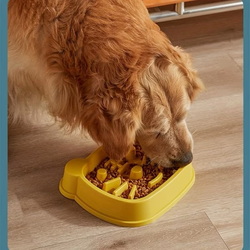 WhatsApp Image 2026-01-15 at 12.22.33 PM (2)