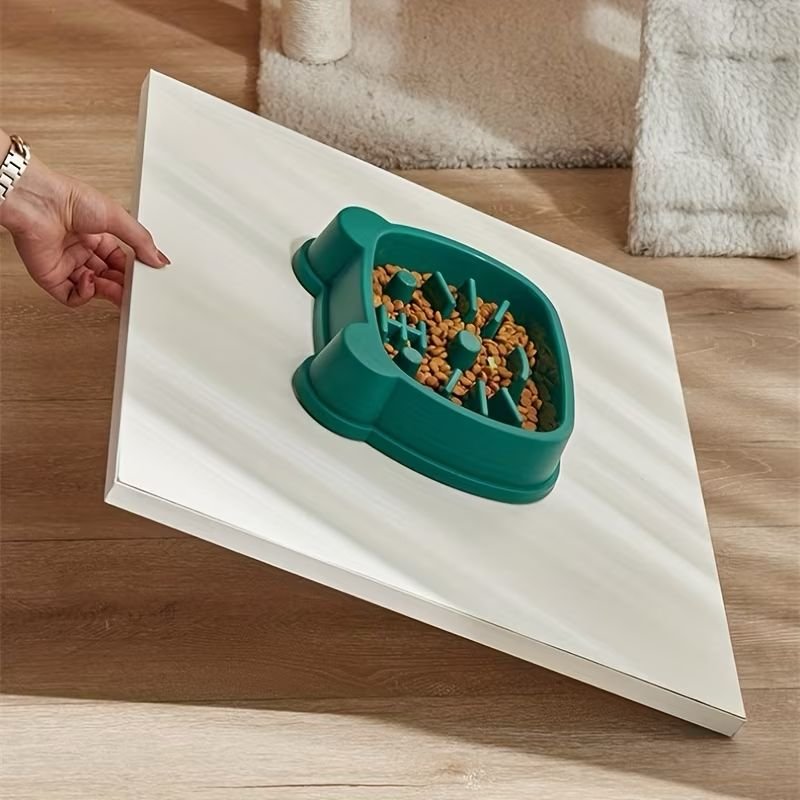 WhatsApp Image 2026-01-15 at 12.22.33 PM