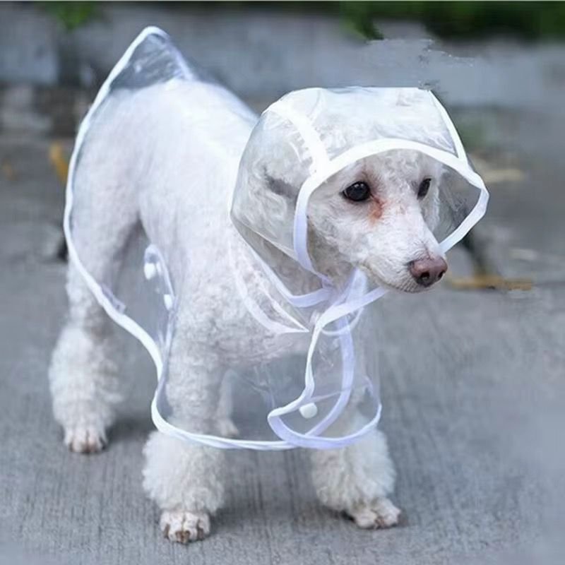 WhatsApp Image 2026-02-11 at 5.19.59 PM (2)