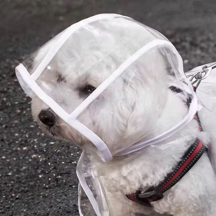 WhatsApp Image 2026-02-11 at 5.19.59 PM